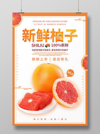 橙色白色清新秋季水果新鲜柚子海报柚子秋天水果